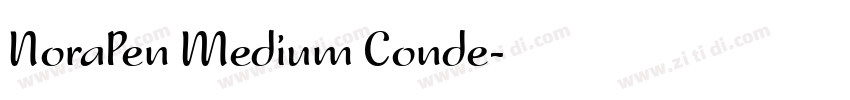 NoraPen Medium Conde字体转换